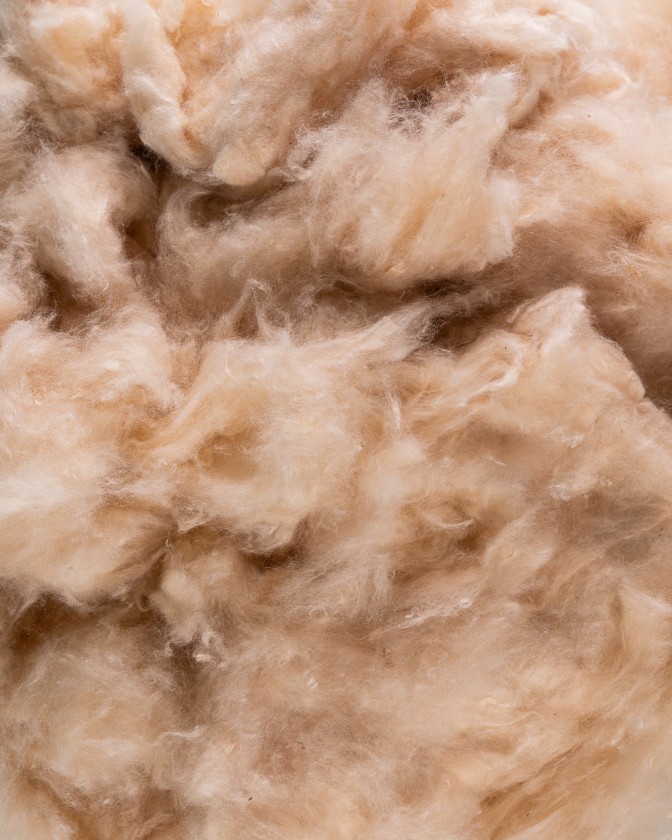 Fibre de kapok 2