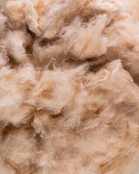 Fibre de kapok
